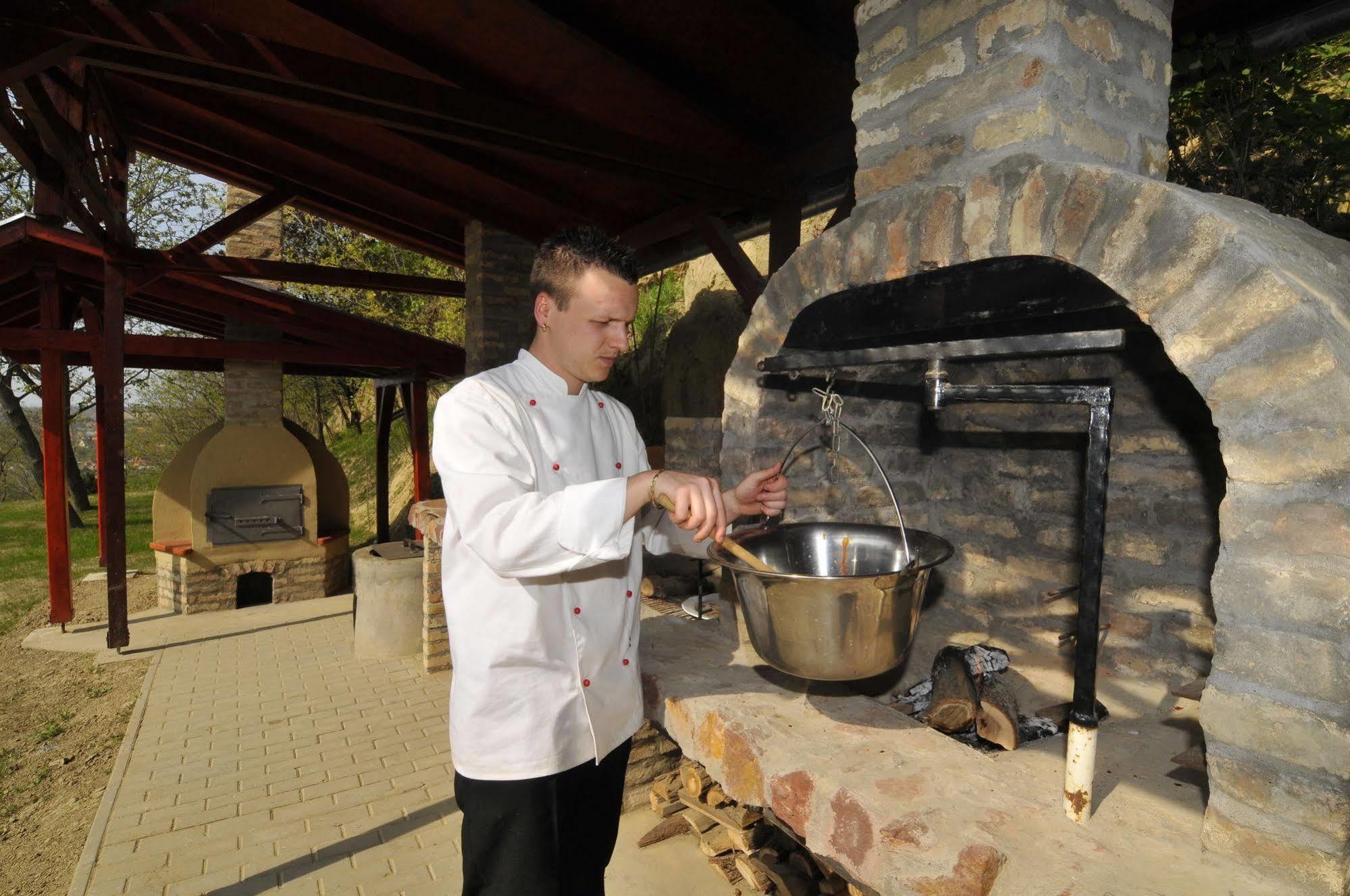Fried Castle Hotel Resort Simontornya Exterior foto